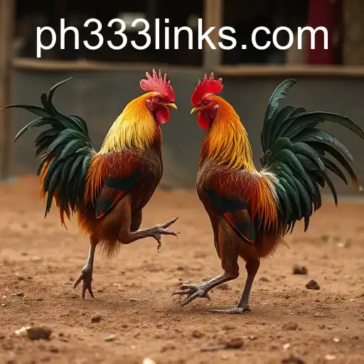 Cockfighting: A Closer Look